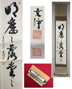 【千寿】東福寺 同聚院 西部文浄 明歴々露堂々 自筆 一行書 紙本 d1043◆在銘 箱 茶掛 掛軸 掛物 茶道具 100033068