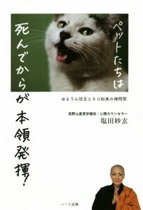 ペットたちは死んでからが本領発揮！ ゆるりん坊主とネコ如来の禅問答/塩田妙玄(著者)