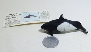 （9B17）チョコエッグ　日本の動物コレクション第4弾「イシイルカ」