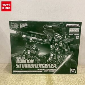 1円〜 MG 1/100 ガンダムビルドダイバーズ GIMM＆BALL’s World Challenge ガンダムストームブリンガーF.A./ジム・タービュレンス