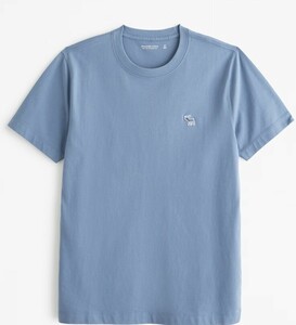 2024ss 新作!!　US限定　日本未発売 Abercrombie & Fitch Polished Elevated Icon Tee　本物をお届け！