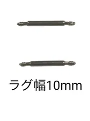 バネ棒 幅10mm 2本セット 腕時計用 ばね ステンレス