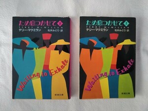 ため息つかせて (上下) テリー・マクミラン 中古文庫 全米ベストセラー　成年女性必見 友 情 恋愛 結婚 仕事 告白