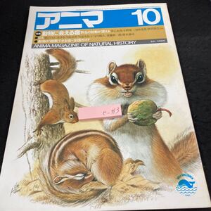 e-313 アニマ 昭和60年発行 10月号 平凡社 特集:動物に会える宿 野生の鼓動が聞える 動物が観察できる宿・全国ガイド リス クマタカ※5