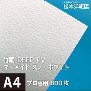 竹尾 DEEP PV マーメイド スノーホワイト A4サイズ：800枚 竹尾 紙 絵画紙 水彩紙 印刷紙 写真印刷用紙 インクジェット用紙