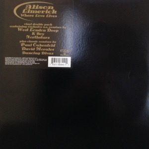 12inchX2レコード ALISON LIMERICK / WHERE LOVE LIVES