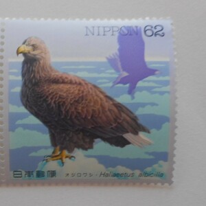 水辺の鳥シリーズ第8集　オジロワシ　未使用62円切手