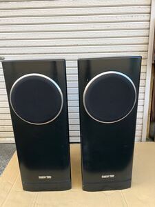 直接引き取り限定 ONKYO Scepter 2002 ジャンク　現状品　2台重さ約72kg 