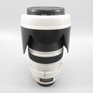 1円〜 Canon キヤノン EF 35-350mm F3.5-5.6L ULTRASONIC レンズ ※動作未確認 258-3147397【O商品】