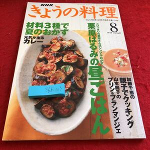 S6b-003 NHK きょうの料理 1999年発行 8月号 特集 栗原はるみの昼ごはん プリン&ブランマンジェ 元気が出るカレー 加藤千恵 山本麗子