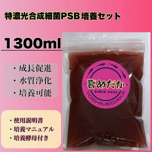 ★培養セット★特濃光合成細菌PSB1300ml 喜めだか バクテリア メダカ めだか 卵 金魚 稚魚 針子 ゾウリムシ クロレラ ミジンコ 熱帯魚