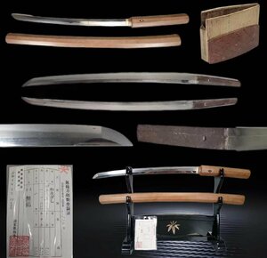 Z0853 脇差 刃長 45.5cm 反り1.1cm登録書 居合刀 刀剣 太刀 縁頭 拵え 目貫 鍔 柄 時代物 ｛