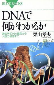 DNAで何がわかるか 遺伝病・DNA鑑定から人類の根源まで ブルーバックス/栗山孝夫(著者)