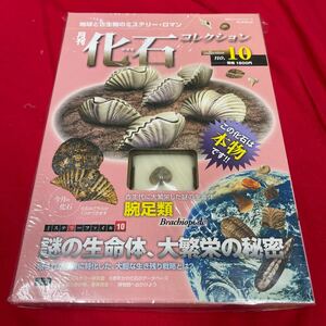 複　Y501. 10. 未開封 化石付き 月刊化石コレクション NO.10 地球と古生物のミステリー・ロマン　保管品　シュリンク付き　