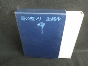 霧の聖マリ　辻邦生　箱剥がれ有日焼け有/SEM