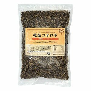 乾燥 コオロギ 200g (約2000匹～2200匹)イエコオロギ 食用 爬虫類 観賞魚 小動物 鳥類の餌に