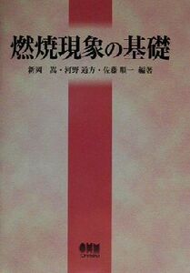 燃焼現象の基礎/新岡嵩(著者),河野通方(著者),佐藤順一(著者)