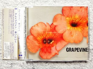 D【 GRAPEVINE グレイプバイン / 会いにいく 】プロモーション用・見本盤　CDは４枚まで送料１９８円