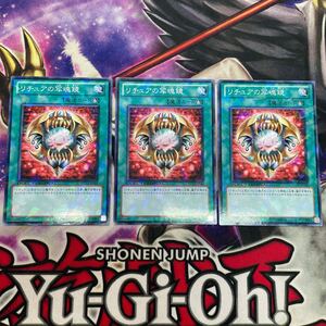 遊戯王　リチュアの写魂鏡　DT13-JP044 ノーマル　3枚セット