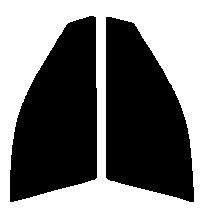 クリアー　88％ 運転席、助手席　アルティス ACV30・ACV35　カット済みフィルム