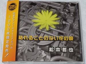 CD J-Pop 松本哲也　/　枯れることのない花の唄