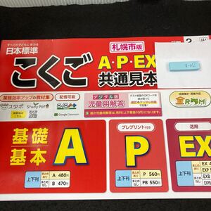 すー012 札幌市版 こくごA・P・EX 前期 2年 日本標準 問題集 プリント 学習 ドリル 小学生 漢字 テキスト テスト用紙 教材 文章問題※7