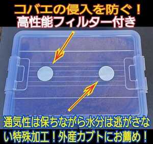 幼虫を入れるだけ！便利！特大ケース入り!プレミアム発酵マット　深い容器なので大型カブトムシ羽化できる　コバエ防止特殊フィルター付き