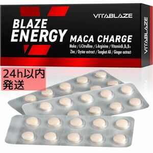 マカ　厳選　サプリ　エネルギー　チャージ　シトルリン　アルギニン BLAZE ENERGY ブレイズ　エナジー　亜鉛 高麗人参