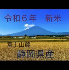 新米 コシヒカリ 1等米　10kg 令和６年　静岡県産　精米