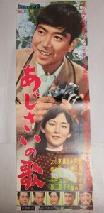 石原裕次郎・主演「あじさいの歌」(監督・滝沢英輔)日活 映画プレス/検;蘆川いづみ中原早苗ポスターチラシパンフ石坂洋次郎