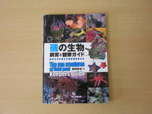 磯の生物　飼育と観察ガイド ■文一総合出版■ 