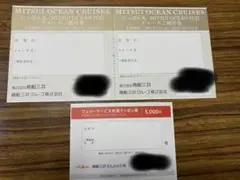 商船三井 株主 優待券 フェリーサービス 共通クーポン券 クルーズご優待券