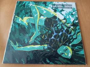 ラスト1枚 日本盤【アナログLP】MASS OF THE FERMENTING DREGS「Awakening:Sleeping」＜DARK GREEN x CLEAR MARBLE Vinyl＞マスドレ