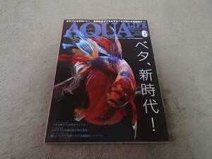 月刊 アクアライフ 2021 6 No.503 エムピージェー ベタ 書籍 本