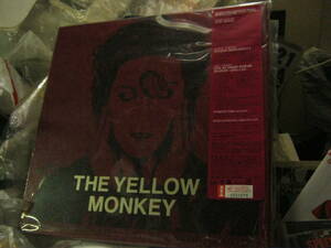 YELLOW MONKEY イエローモンキー / THE NIGHT SNAILS AND PLASTIC BOOGIE DELUXE EDITIN レア 限定2CD+DVD+TAPE+写真集BOX 未使用 吉井和哉