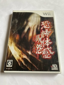 Wiiソフト　恐怖体感 呪怨　中古