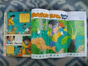 ドラゴンボール DRAGON BALL 巻頭カラー＆特集掲載 ポスター付き 週刊少年ジャンプ１９８９年２９号 極美品 孫悟空 ベジータ 聖闘士星矢