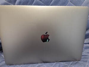 【美品】【動作品】MacBook Pro (13-inch, 2018）/Corei5/Mem8GB/256GB1【ホワイトスポットなし】