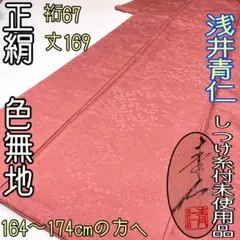 【着物と帯 時流】i4◆正絹 色無地◆浅井青仁 トールサイズ 紋なし 未使用品