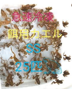 【冷凍】SS 餌用カエル ヌマガエル 25匹 エサ用 爬虫類 蛇の餌 大型魚の餌 ヘビの餌 亀の餌