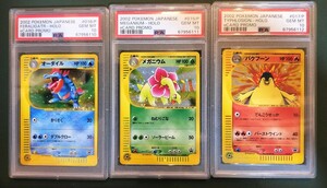 PSA10セット ポケモンカード オーダイル メガニウム バクフーン トリプルゲットキャンペーンプロモ Feraligatr Meganium Typhlosion