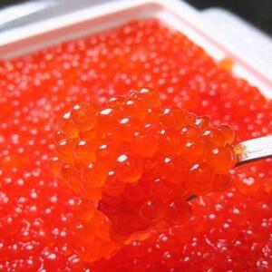 ★特選「鱒いくら醤油漬」お得パック！たっぷり1kg １等級のいくらを醤油漬け！10kgまで送料一律でお届けします！