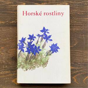 チェコの古い植物図鑑(Horske rostliny 1937年)/アンティーク ヴィンテージ 植物画 花の絵 洋書 ボタニカルアート 高山植物 美品 雰囲気◎/