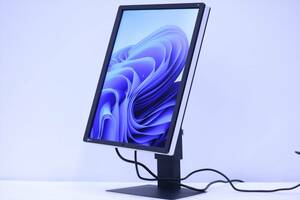 即配 使用688時間 21.3型 カラー液晶モニター 省スペース 医用 EIZO RadiForce RX250