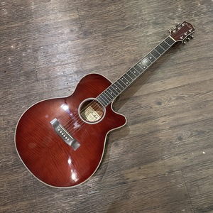 Pro Martin EA500W Acoustic Guitar エレクトリック アコースティックギター -d086