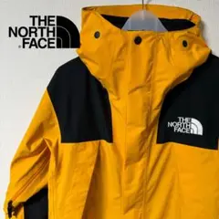 美品　THE NORTH FACE マウンテンパーカ　GORE-TEX L