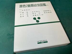 原色蛾類幼虫図鑑（下）　保育社　ほとんど未使用