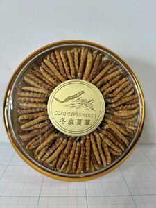 冬虫夏草　CORDYCEPS SINENSIS 未開封　春節