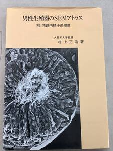 i604 男性生殖器のSEMアトラス 村上正浩 平成4年 久留米大学医学部第2解剖学教室　2Ha3