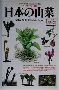 日本の山菜 フィールドベスト図鑑13/高橋秀男